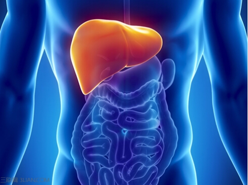 人体最大排毒器官竟是它，7个锻炼肝经法     