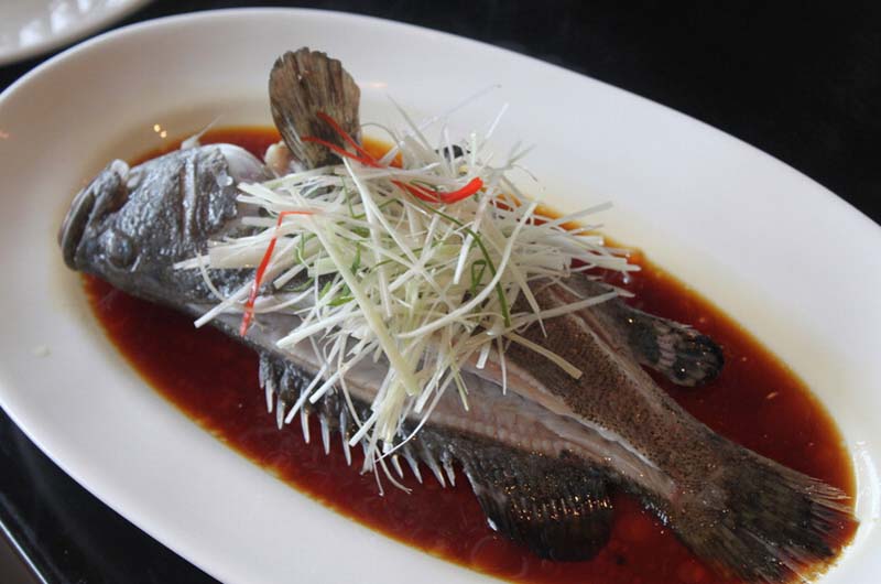 清蒸石斑鱼是哪个地方的菜3