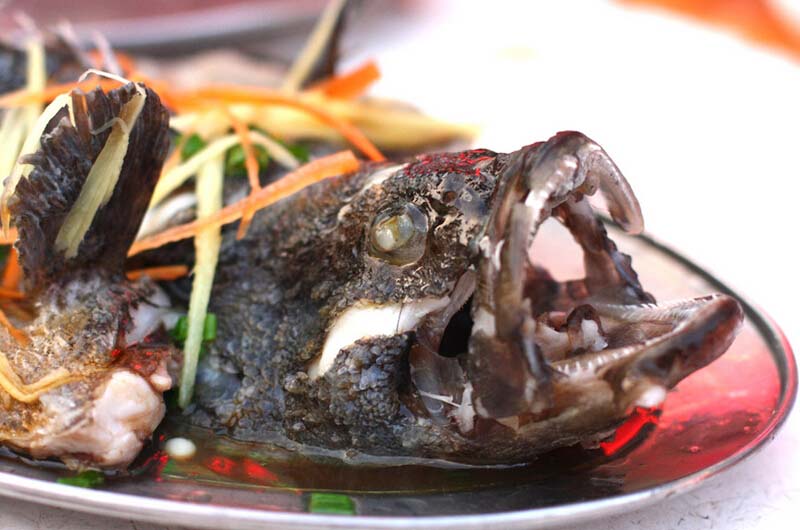 清蒸石斑鱼是哪个地方的菜1