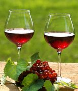 【干红葡萄酒怎么喝】喝红酒的营养价值_喝干红葡萄酒的注意事项