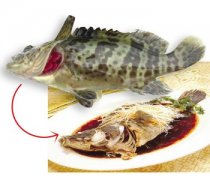 【石斑鱼的营养价值】石斑鱼的做法