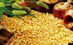 玉米怎么吃最营养？五种吃法大pk