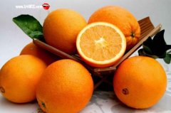 吃脐橙上火吗_脐橙的功效与作用有哪些?