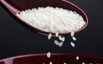 大米的保质期一般是多久