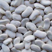 【白扁豆的作用与功效】白扁豆的做法_白扁豆的副作用