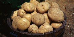 土豆怎么吃最营养