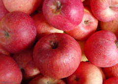 苹果连皮吃有6大功效