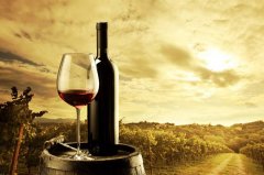 喝葡萄酒的好处和坏处,自制葡萄酒的酿制方法