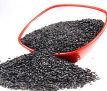 【黑大米的功效与作用】黑大米的营养价值_黑大米的做法