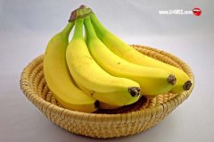 经期是否可以吃香蕉_女生经期可以吃香蕉吗?