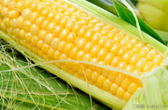 玉米的营养成分及功效