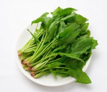 【菠菜的营养成分】菠菜的功效与作用_菠菜的做法大全