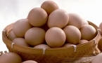 有肝病能吃鸡蛋吗