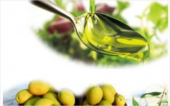 橄榄油的美容功效与作用有哪些