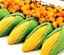 【转基因玉米】转基因玉米与普通玉米的区别_转基因玉米的危害