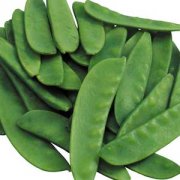 【黑扁豆的功效与作用】黑扁豆的营养价值_黑扁豆的饮食禁忌