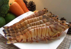 食用斑节虾的注意事项