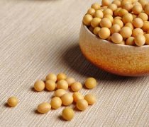 【黄豆的营养价值】黄豆的功效与作用