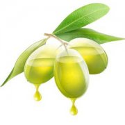 【橄榄油的食用方法】橄榄油可以炒菜吗_橄榄油的用法