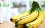 肾病能吃香蕉吗