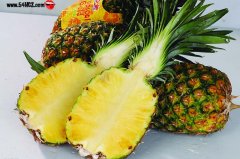 凤梨和菠萝的区别是什么_凤梨是菠萝吗?