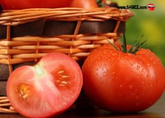 西红柿减肥法有效吗_西红柿减肥7天瘦7斤是真的吗?