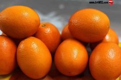江西脐橙价格_江西脐橙多少钱一斤?
