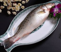 【海鲈鱼的营养价值】海鲈鱼怎么做好吃_海鲈鱼多少钱一斤