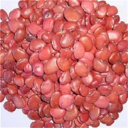 【红扁豆的功效】红扁豆的功效_红扁豆怎么做好吃_怎么选购红扁豆