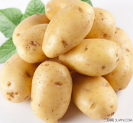 4大类土豆的营养吃法