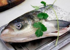青根鱼的营养价值