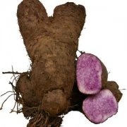 【煮紫薯需要多长时间】煮紫薯的做法_紫薯粥的营养价值