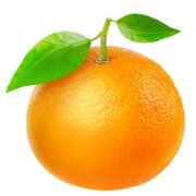 【橙子皮的功效与作用】橙子皮泡水喝的功效_橙子皮能吃吗