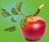 【苹果的营养价值】苹果的功效与作用_苹果的吃法