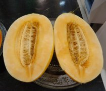 【哈密瓜的热量】哈密瓜的功效与作用_哈密瓜怎么吃