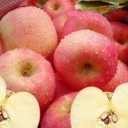 【空腹吃苹果好吗】空腹吃苹果的危害_空腹吃苹果能减肥吗
