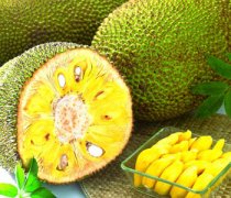 【菠萝蜜的营养价值】菠萝蜜怎么吃_菠萝蜜的功效与作用