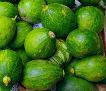 嫩南瓜的营养价值嫩南瓜的食疗功效嫩南瓜的食用禁忌